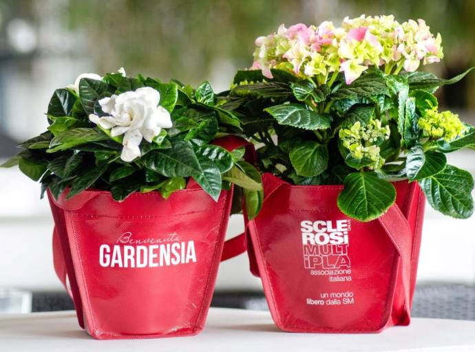 Gardensia: fiori di solidarietà per la Giornata della Donna a sostegno della ricerca contro la sclerosi multipla
